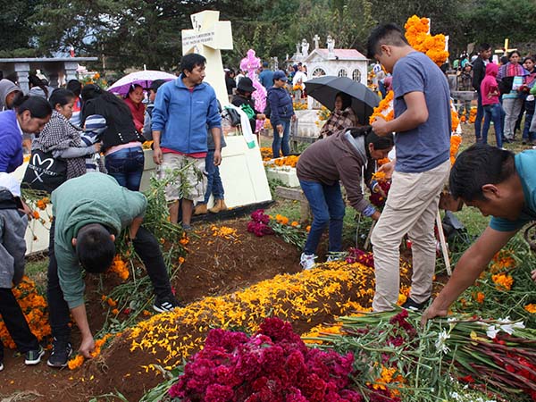 Day of the Dead: A Celebration of Life Still #3